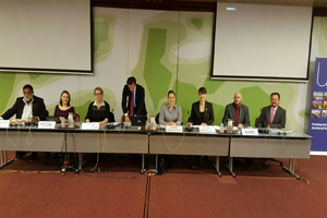 IMAGE: Pictured from left to right are Les Malezer (National Congress of Australia's First Peoples), Lucy Morgan (Refugee Council of Australia ), Therese Sands (PWDA), Roland Chauville (UPR Info - event organiser), Amanda Alford (National Association of Community Legal Centres), Anna Brown (Human Rights
Law Centre), Darren Dick (Australian Human Rights Commission) and Peter Hyndal (LGBTIQ community).
